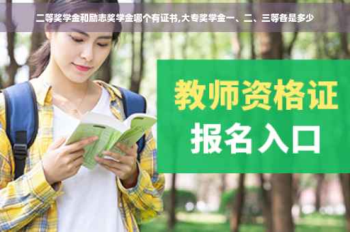 二等奖学金和励志奖学金哪个有证书,大专奖学金一、二、三等各是多少