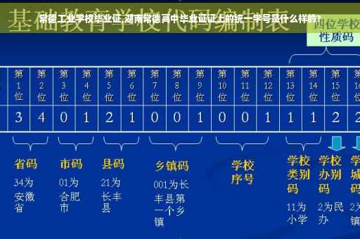 常德工业学校毕业证,湖南常德高中毕业证证上的统一学号是什么样的?