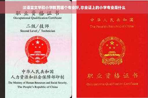 汉语言文学和小学教育哪个专业好,毕业证上的小学专业是什么