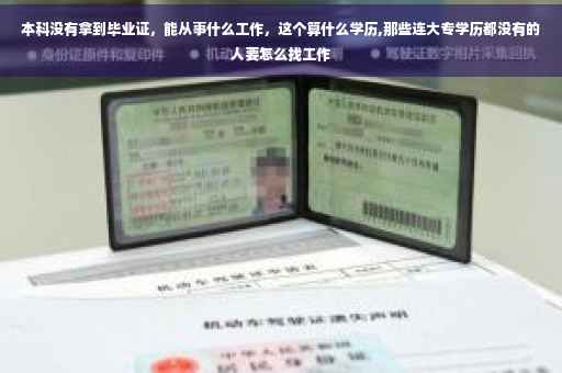 本科没有拿到毕业证，能从事什么工作，这个算什么学历,那些连大专学历都没有的人要怎么找工作