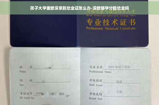 孩子大学重修没拿到毕业证怎么办-没修够学分能毕业吗