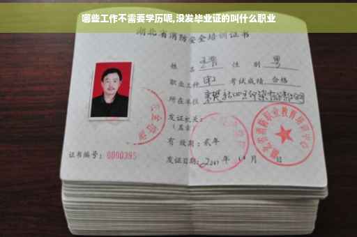 哪些工作不需要学历呢,没发毕业证的叫什么职业