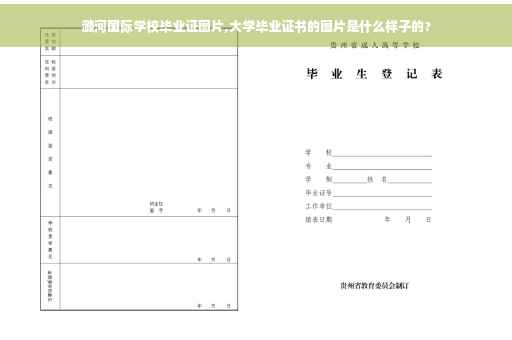 潞河国际学校毕业证图片,大学毕业证书的图片是什么样子的?