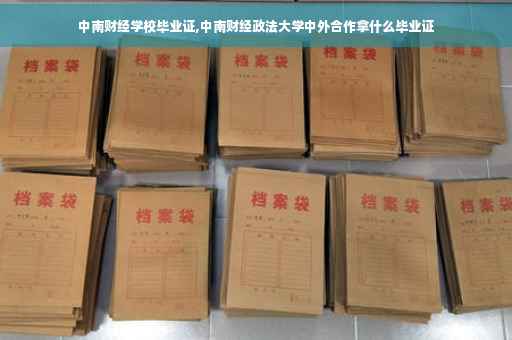 中南财经学校毕业证,中南财经政法大学中外合作拿什么毕业证