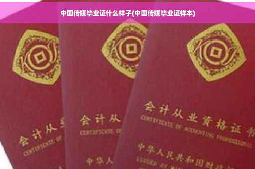中国传媒毕业证什么样子(中国传媒毕业证样本)