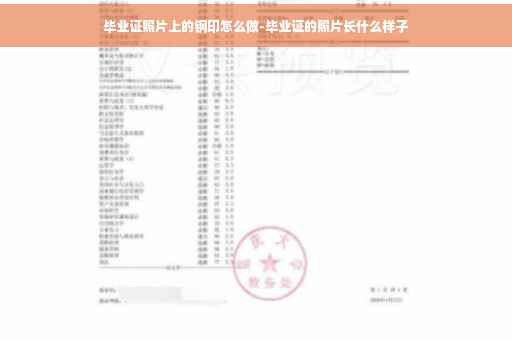 毕业证照片上的钢印怎么做-毕业证的照片长什么样子
