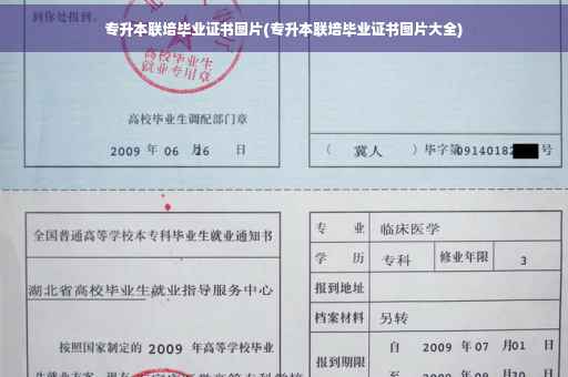 专升本联培毕业证书图片(专升本联培毕业证书图片大全)