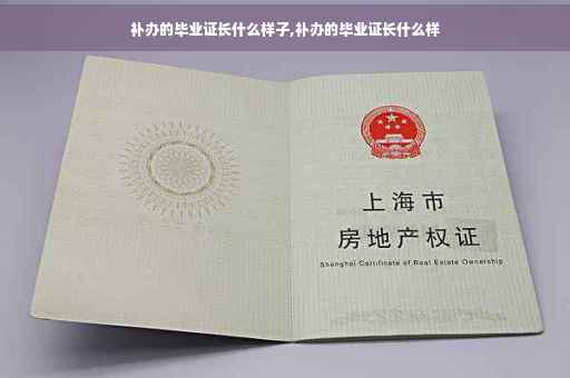 补办的毕业证长什么样子,补办的毕业证长什么样