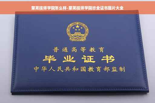 莱芜技师学院怎么样-莱芜技师学院毕业证书图片大全