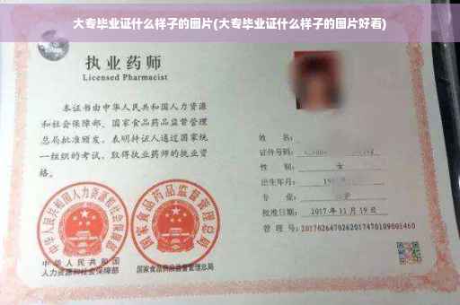 大专毕业证什么样子的图片(大专毕业证什么样子的图片好看)