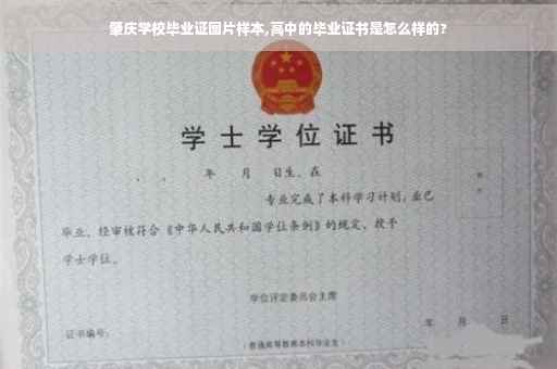 肇庆学校毕业证图片样本,高中的毕业证书是怎么样的?