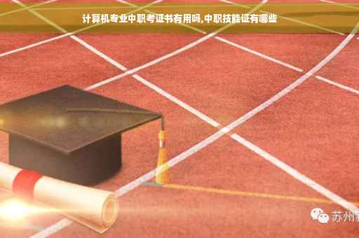 计算机专业中职考证书有用吗,中职技能证有哪些