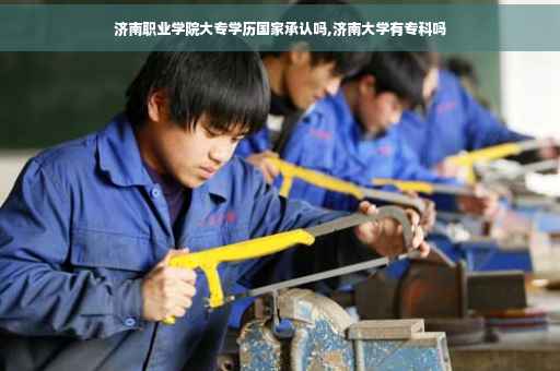 济南职业学院大专学历国家承认吗,济南大学有专科吗