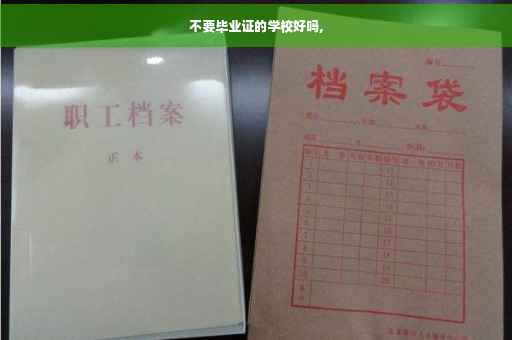不要毕业证的学校好吗,