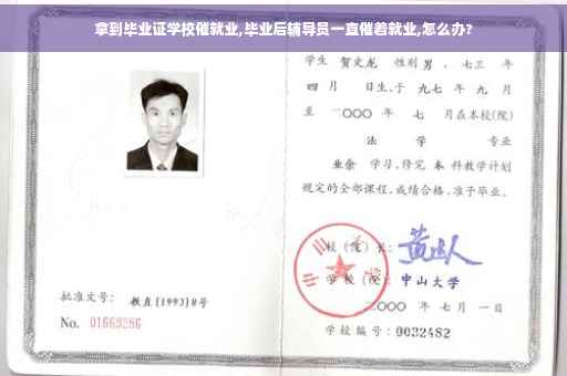 拿到毕业证学校催就业,毕业后辅导员一直催着就业,怎么办?