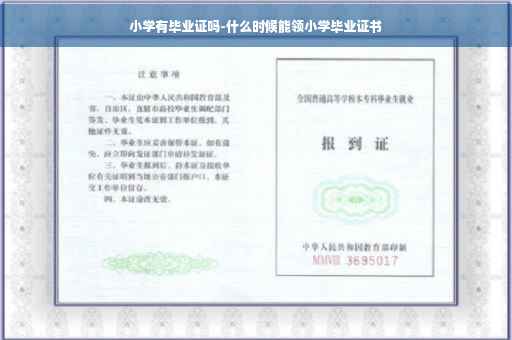 小学有毕业证吗-什么时候能领小学毕业证书