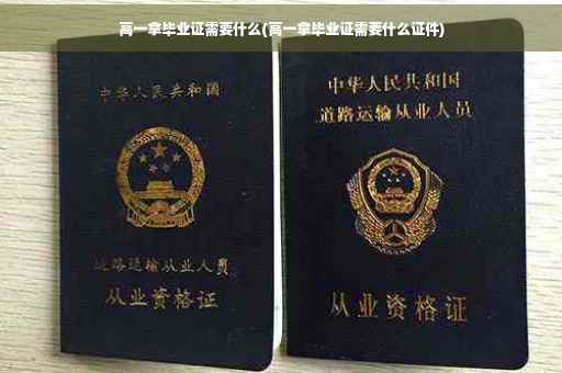 高一拿毕业证需要什么(高一拿毕业证需要什么证件)