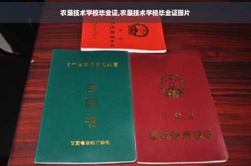 农垦技术学校毕业证,农垦技术学校毕业证图片