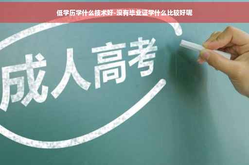低学历学什么技术好-没有毕业证学什么比较好呢