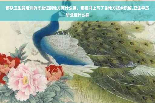 部队卫生员培训的毕业证到地方有什么用，那证书上写了含地方技术职称,卫生学历毕业证什么样