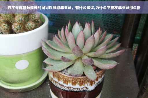 自学考试最短多长时间可以获取毕业证，有什么建议,为什么学校发毕业证那么慢