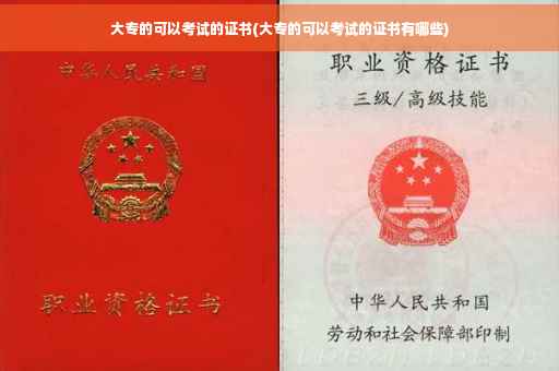 大专的可以考试的证书(大专的可以考试的证书有哪些)