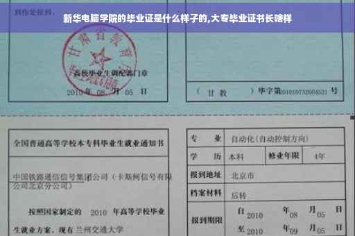 新华电脑学院的毕业证是什么样子的,大专毕业证书长啥样