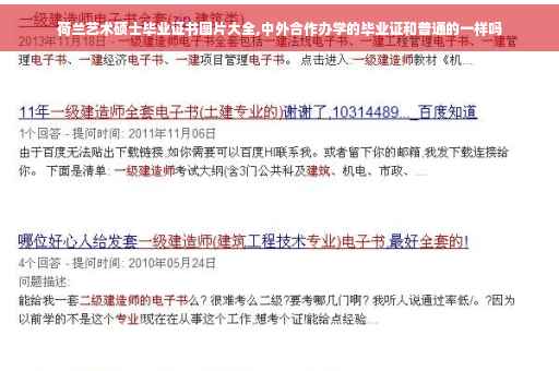 荷兰艺术硕士毕业证书图片大全,中外合作办学的毕业证和普通的一样吗