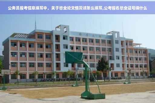 公务员报考信息填写中，关于毕业论文情况该怎么填写,公考报名毕业证号填什么