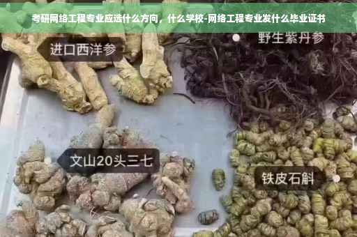 考研网络工程专业应选什么方向，什么学校-网络工程专业发什么毕业证书