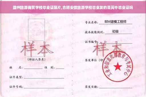 滁州旅游商贸学校毕业证图片,合肥安微旅游学校毕业发的是高中毕业证吗