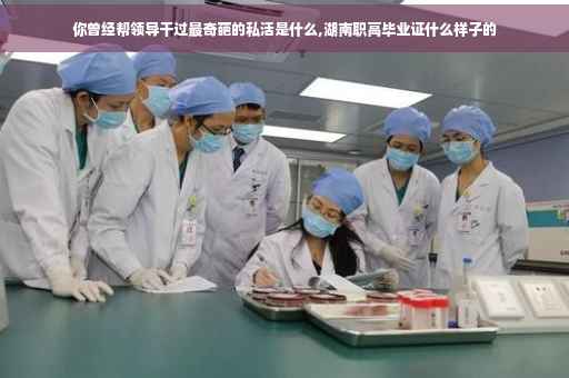 你曾经帮领导干过最奇葩的私活是什么,湖南职高毕业证什么样子的
