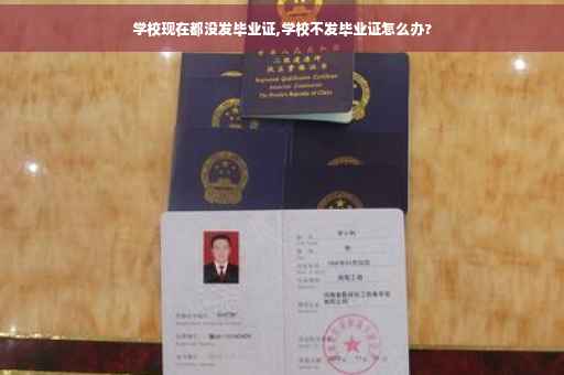 学校现在都没发毕业证,学校不发毕业证怎么办?