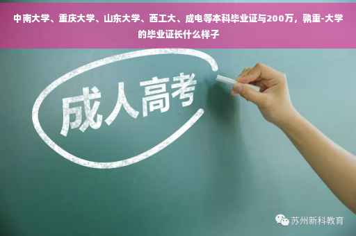 中南大学、重庆大学、山东大学、西工大、成电等本科毕业证与200万,孰重-大学的毕业证长什么样子 中南大学、重庆大学、山东大学、西工大、成电等本科毕业证与200万,孰重-大学的毕业证长什么样子