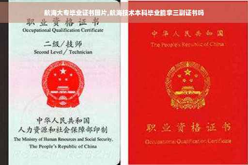 航海大专毕业证书图片,航海技术本科毕业能拿三副证书吗