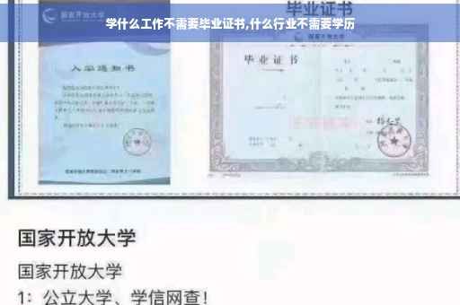 学什么工作不需要毕业证书,什么行业不需要学历