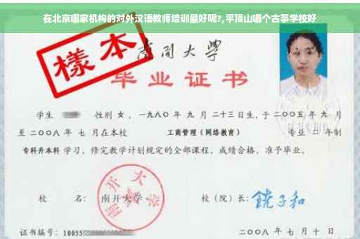 在北京哪家机构的对外汉语教师培训最好呢?,平顶山哪个古筝学校好