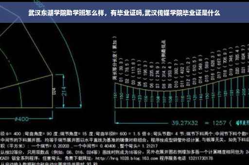 武汉东湖学院助学班怎么样，有毕业证吗,武汉传媒学院毕业证是什么