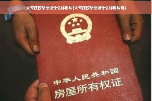 大专技校毕业证什么样图片(大专技校毕业证什么样图片啊)