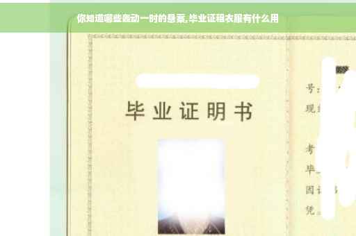 你知道哪些轰动一时的悬案,毕业证租衣服有什么用