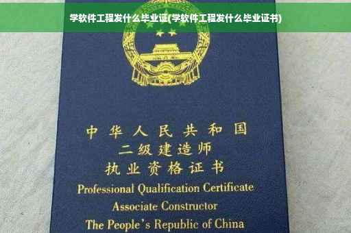 学软件工程发什么毕业证(学软件工程发什么毕业证书)