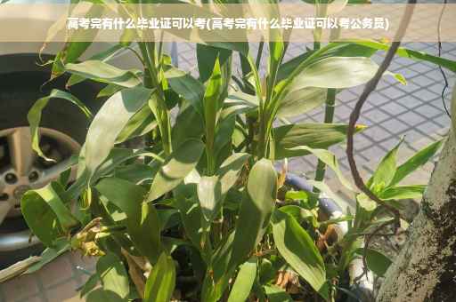 高考完有什么毕业证可以考(高考完有什么毕业证可以考公务员)