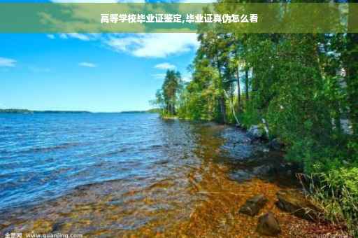 高等学校毕业证鉴定,毕业证真伪怎么看