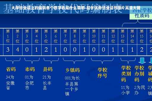 大学毕业证上的编码各个数字各是什么意思-初中优秀毕业证书图片高清大图