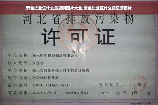 紫色毕业证什么意思啊图片大全,紫色毕业证什么意思啊图片