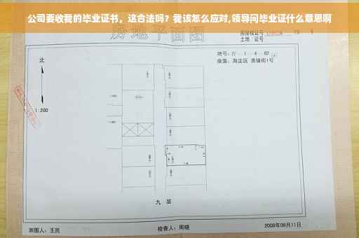 公司要收我的毕业证书，这合法吗？我该怎么应对,领导问毕业证什么意思啊