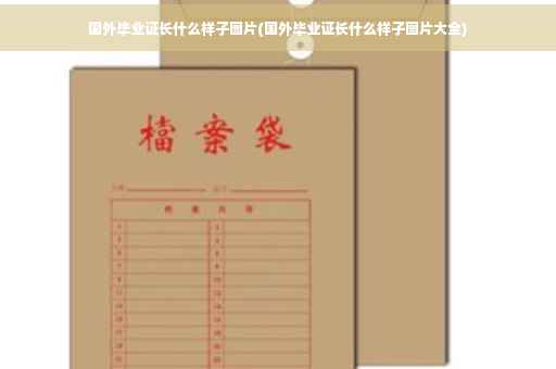 国外毕业证长什么样子图片(国外毕业证长什么样子图片大全)