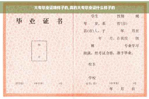 大专毕业证啥样子的,真的大专毕业证什么样子的