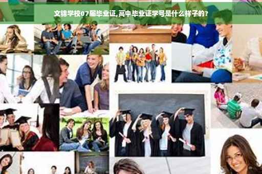 文锦学校07届毕业证,高中毕业证学号是什么样子的?