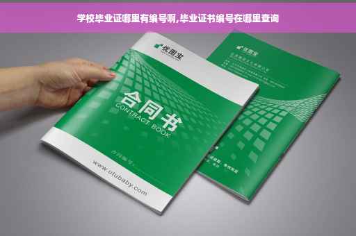 学校毕业证哪里有编号啊,毕业证书编号在哪里查询